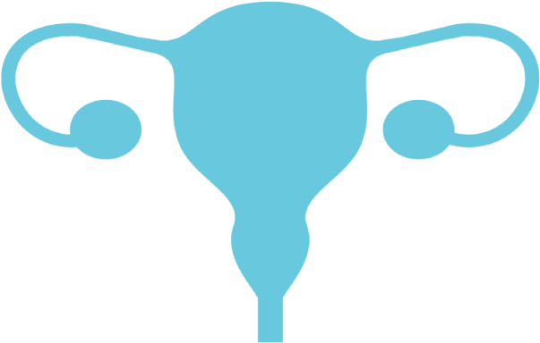 Women S Health Concerns - Uterus Clipart (848x518), Png Download