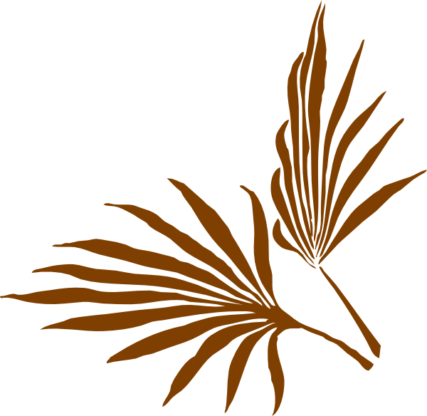 Palm Frond Clip Art - Png Download (600x584), Png Download