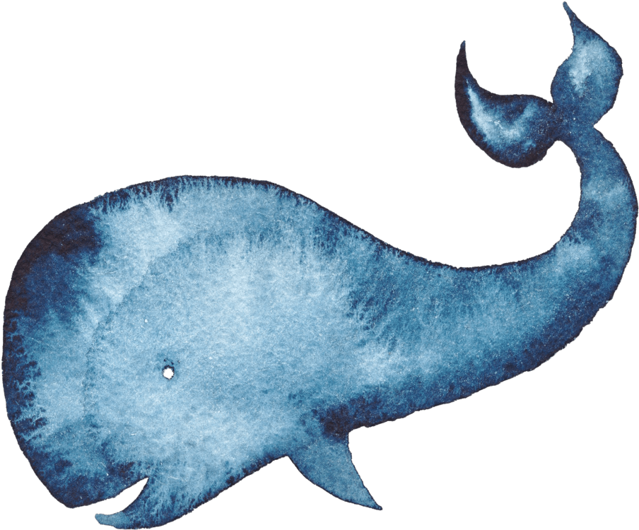 Humpback Whale Watercolor Painting Blue Whale - Whale Watercolor Clipart (1080x1080), Png Download