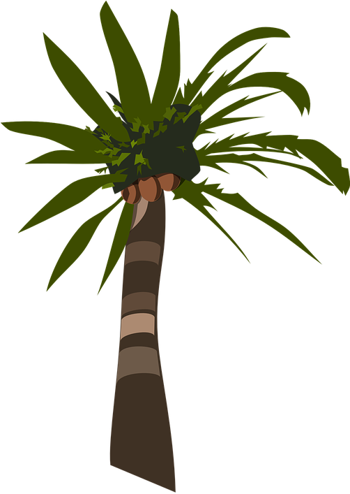 Transparent Coconut Tree Clipart - Palm Tree Clip Art - Png Download (502x707), Png Download