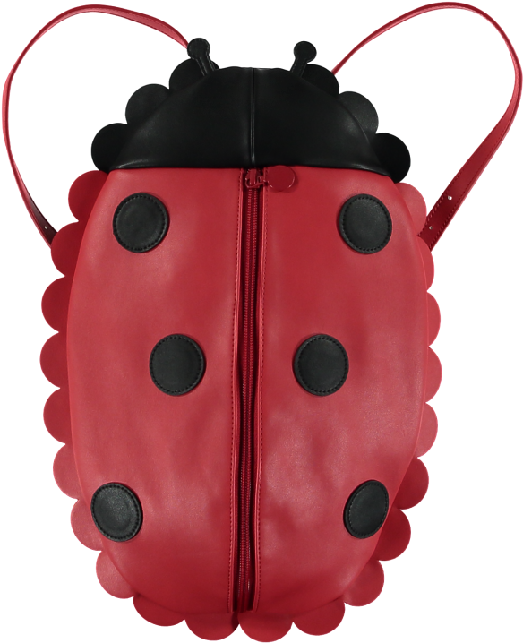 Png Black And White Stock Ladybug Transparent K - Ladybug Clipart (584x718), Png Download