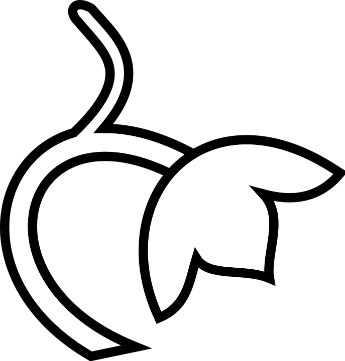 Transparent Passover Clipart - Pumpkin Stem Clipart Black And White - Png Download (687x720), Png Download