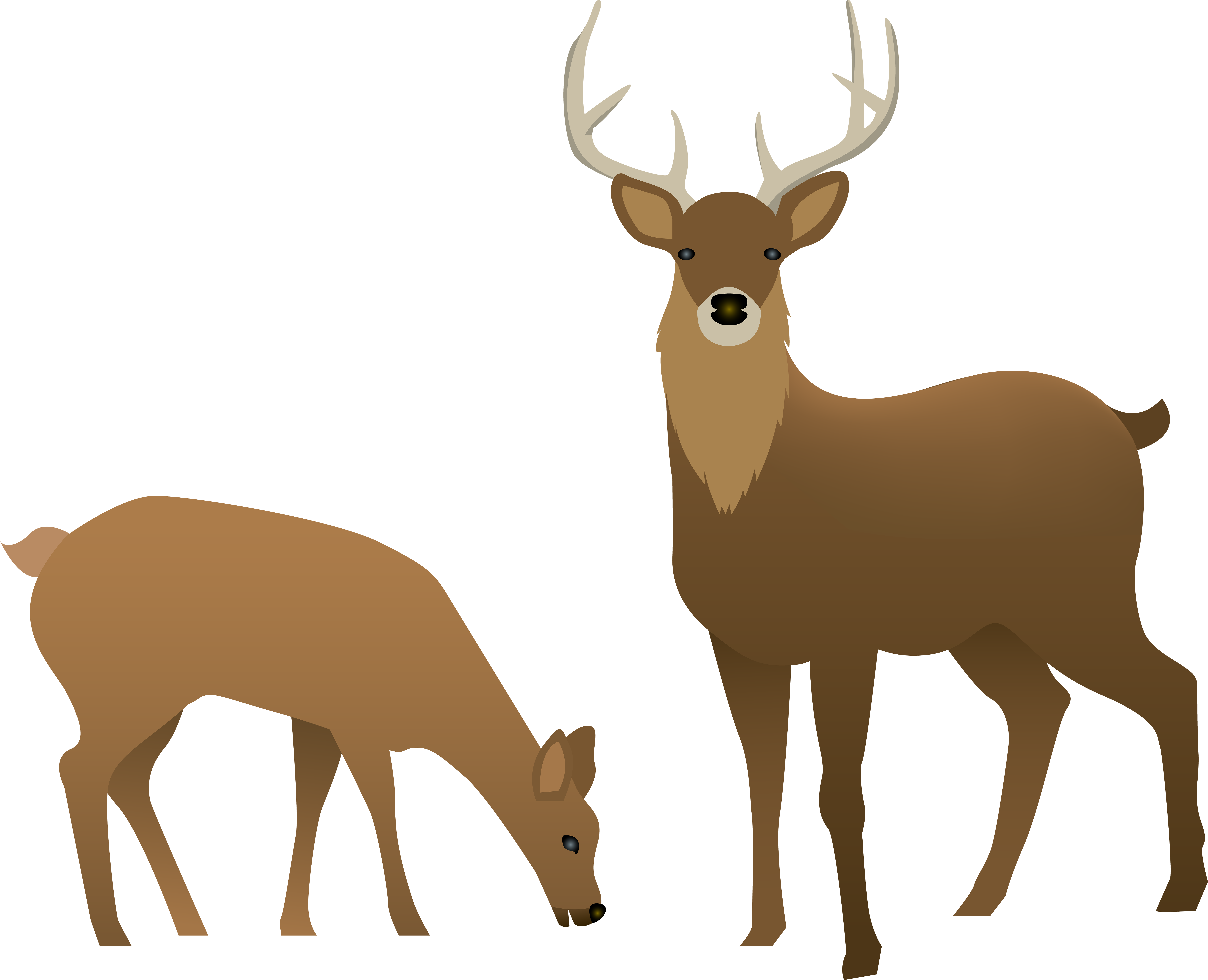 Deer Transparent Clipart"src="data - Png Download (8000x6492), Png Download