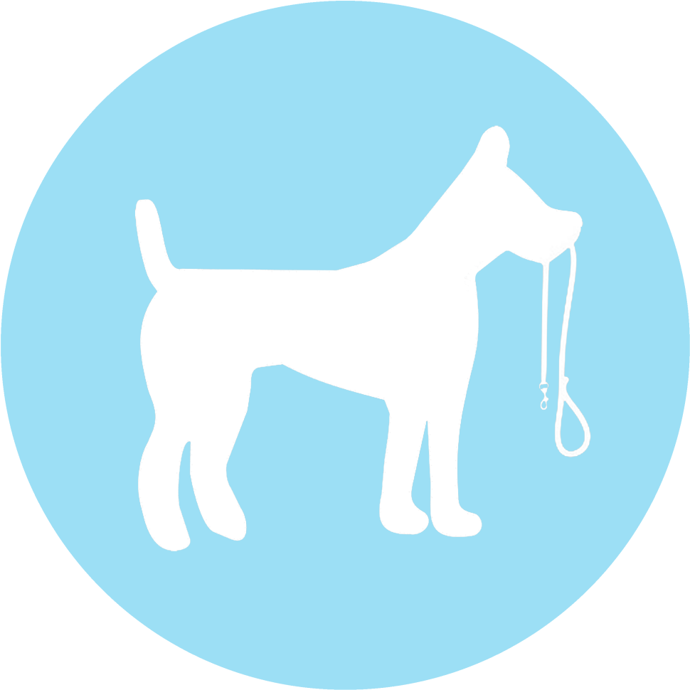 Non Communicable Disease Icon - Wire Hair Fox Terrier Clipart (970x970), Png Download