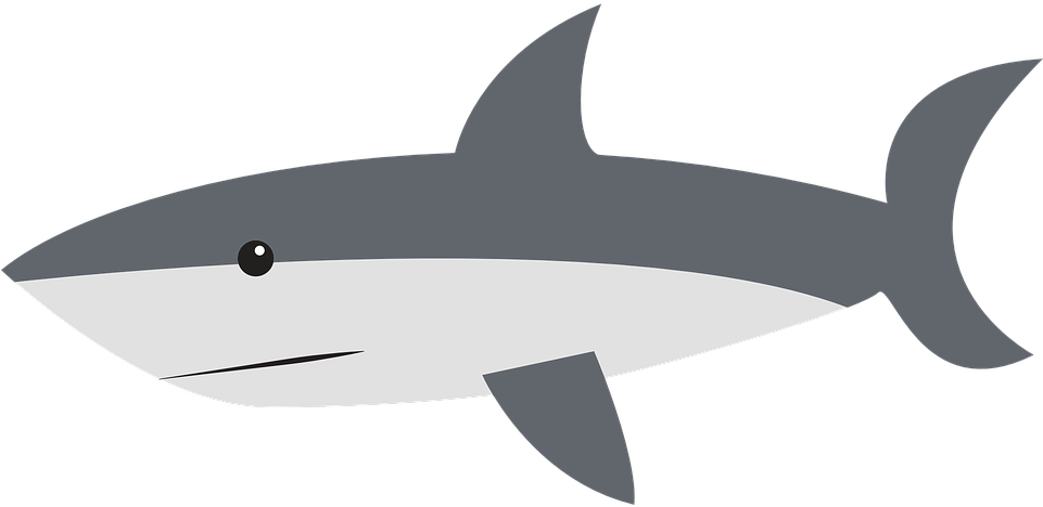 Great White Shark Clipart Tiburon - Cartoon White Shark Clipart - Png Download (960x480), Png Download