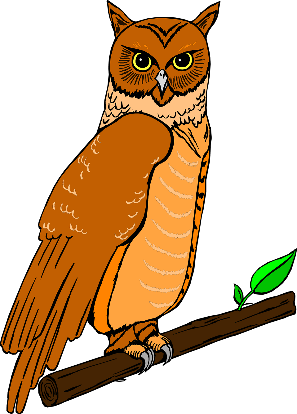 Free Stock Photo - Owl Clipart - Png Download (958x1335), Png Download