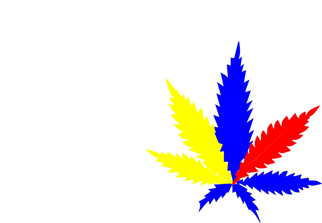 Plant,leaf,symmetry - Hash Marihuana & Hemp Museum In Amsterdam Clipart (1082x750), Png Download