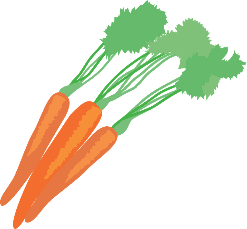 Carrot Vegetable Food Clipart - Carrot - Png Download (800x743), Png Download
