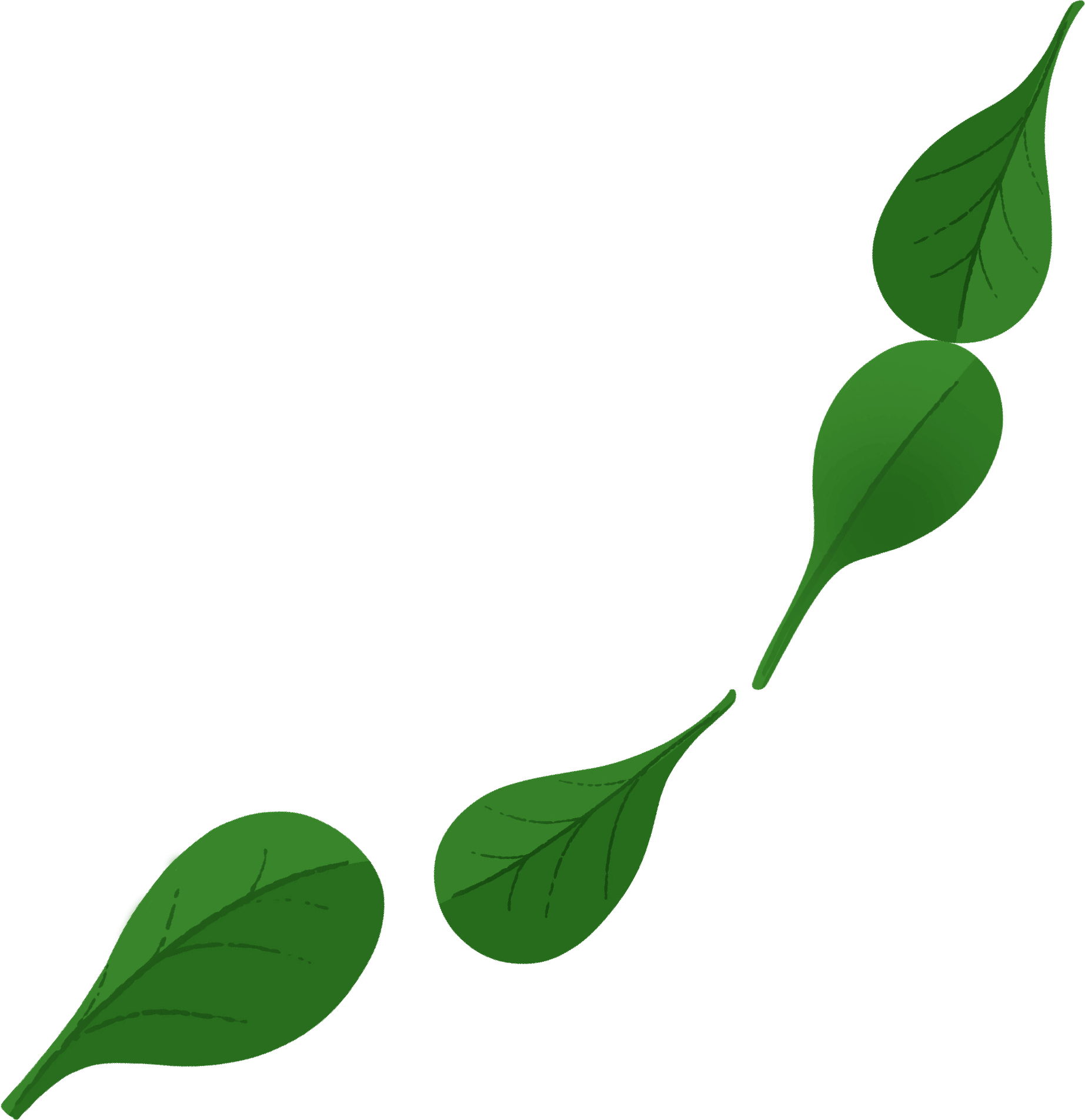 Vein Leaves Clipart (1845x1904), Png Download