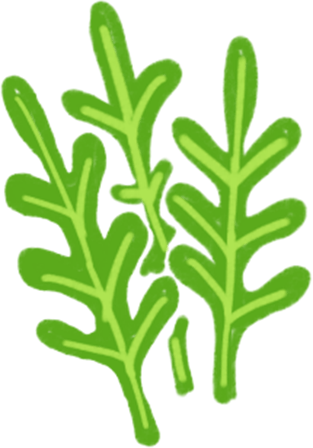 Clip Art - Png Download (1075x1535), Png Download