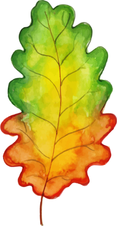 Lettuce Leaf Clipart - Png Download (400x768), Png Download