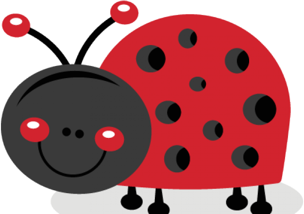 Cute Ladybug Clipart (640x480), Png Download
