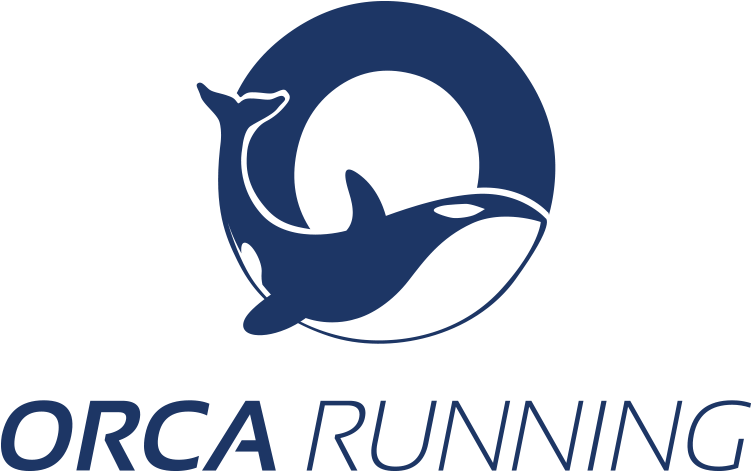 Orca Running Clipart (750x492), Png Download