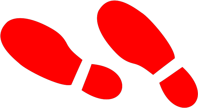 Illustration Clipart (1600x1600), Png Download