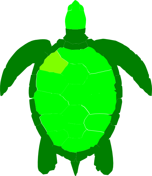 Green Sea Turtle Reptile Clip Art - Green Sea Turtle Clipart - Png Download (516x597), Png Download