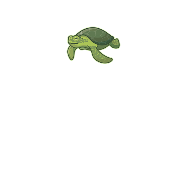 Sea Turtle - Green Sea Turtle Clipart (600x600), Png Download
