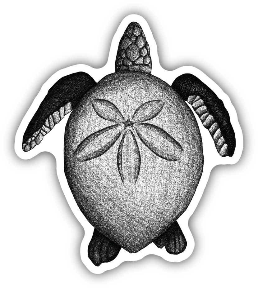 Green Sea Turtle Clipart (1024x1024), Png Download