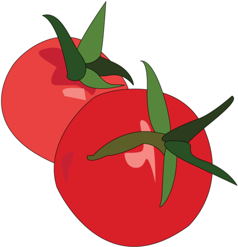 Plum Tomato Clipart (1024x668), Png Download