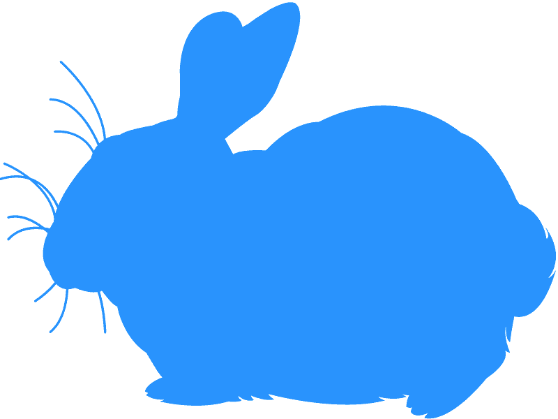 Clip Art - Png Download (800x600), Png Download