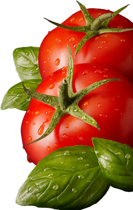 Tomato Png Clipart (715x715), Png Download