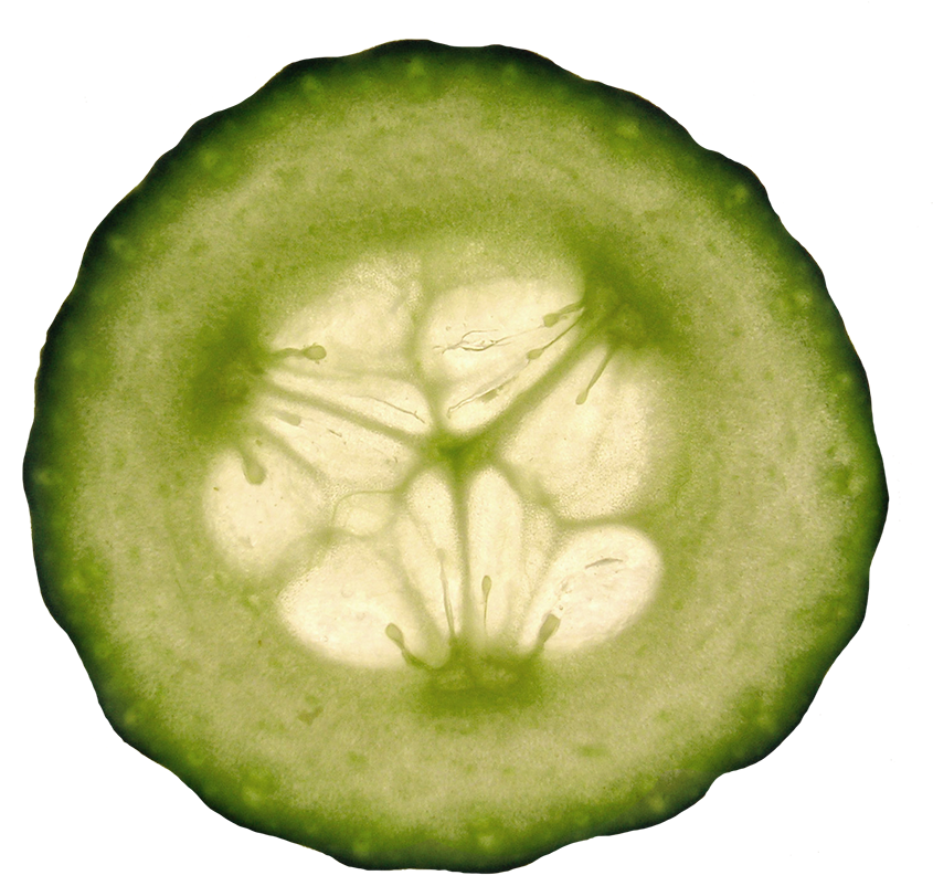 Cucumber Slice Clipart - Cucumber - Png Download (886x836), Png Download