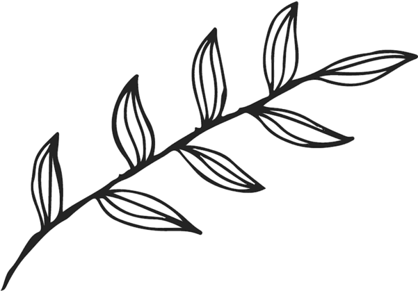 Leaf Outline Transparent Clipart - Full Size Clipart (#5607643