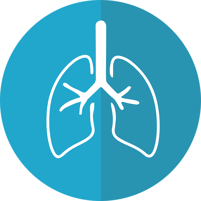 Follow Our Blog For Lung Cancer Awareness Month - Upper Respiratory Tract Infection Icon Clipart (640x640), Png Download
