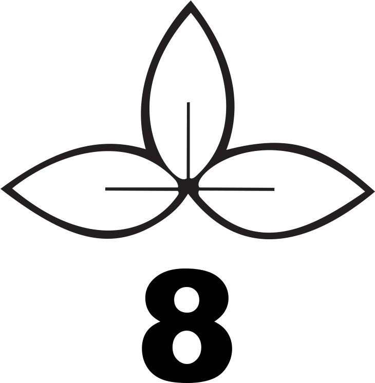 Can I Put A Clothes Line Or Dog Run On My Tree Arborsmith, - Tree Clipart (730x746), Png Download