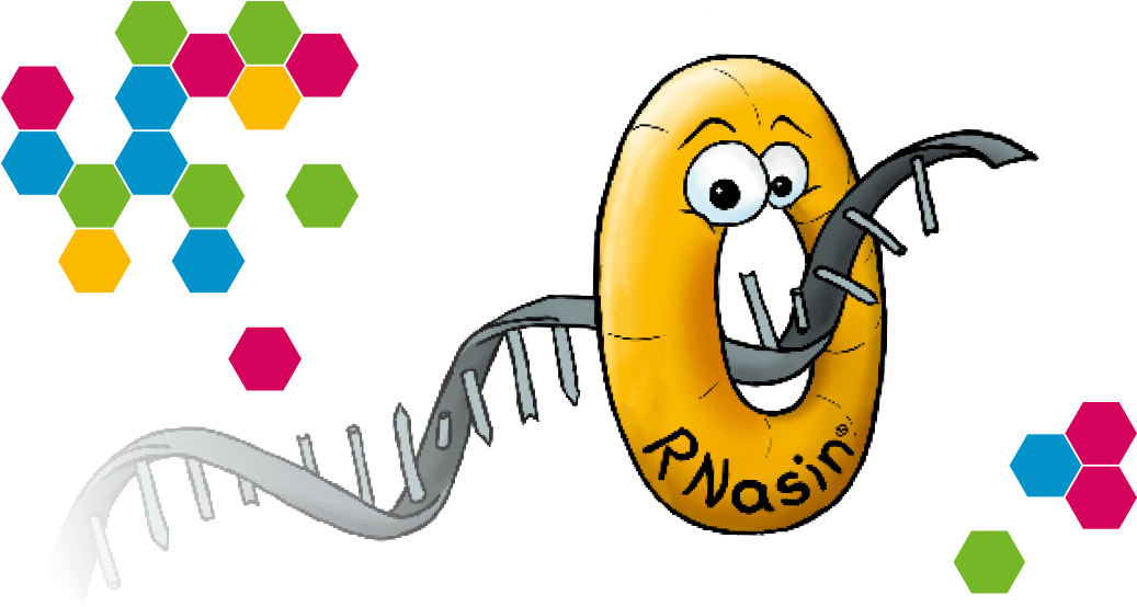 Vector Bacteria Carton Clipart (1054x560), Png Download