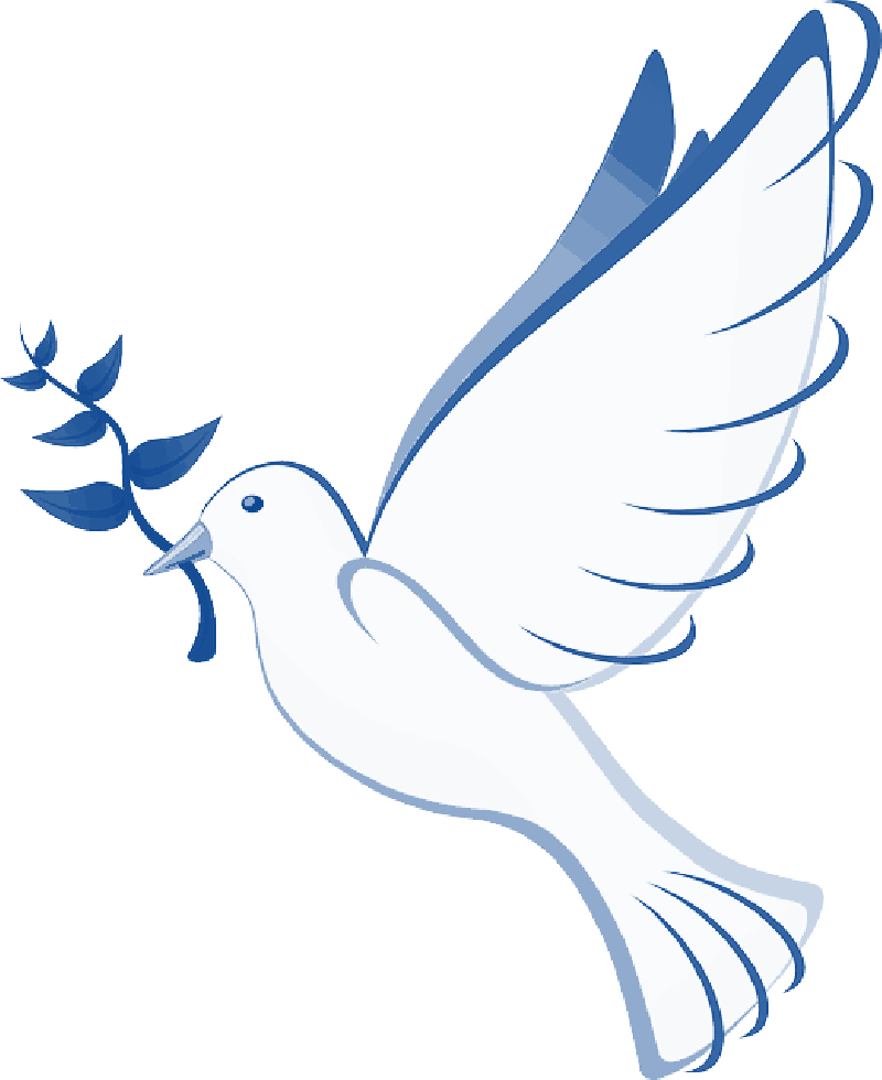 Dove Clipart Open Wing - Olive Branch Peace Dove - Png Download (800x980), Png Download