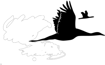 Flying Geese Clipart (600x600), Png Download