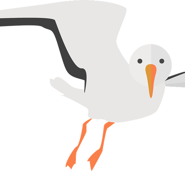 Seagull Illustration Png - Möwe Clipart Transparent Png (600x556), Png Download