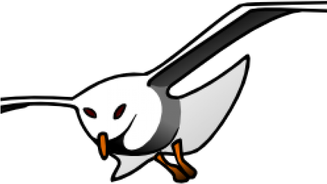 Seagull Stencil - Cute Seagull Clipart Black And White - Png Download (640x480), Png Download