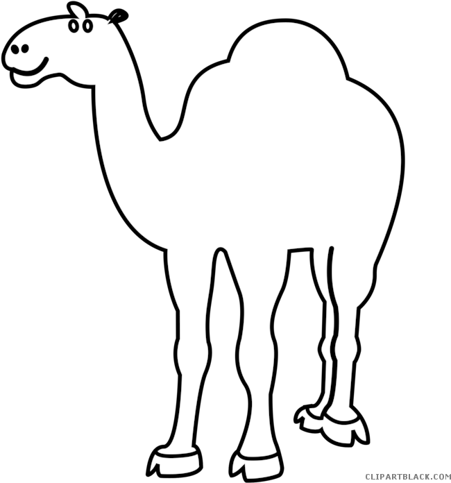 Outline Animal Free Black - Black And White Drawing Animals Camal Clipart (700x700), Png Download
