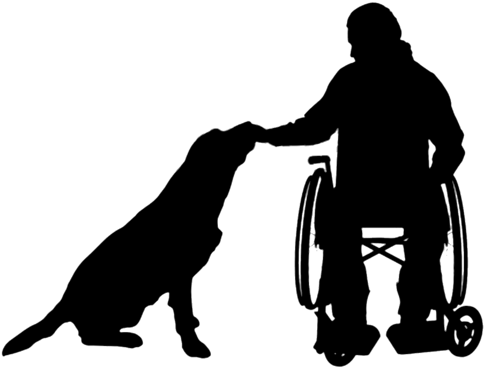 Dog Wheelchair Silhouette Disability - Children On Wheelchair Silhouette Clipart (1024x1024), Png Download