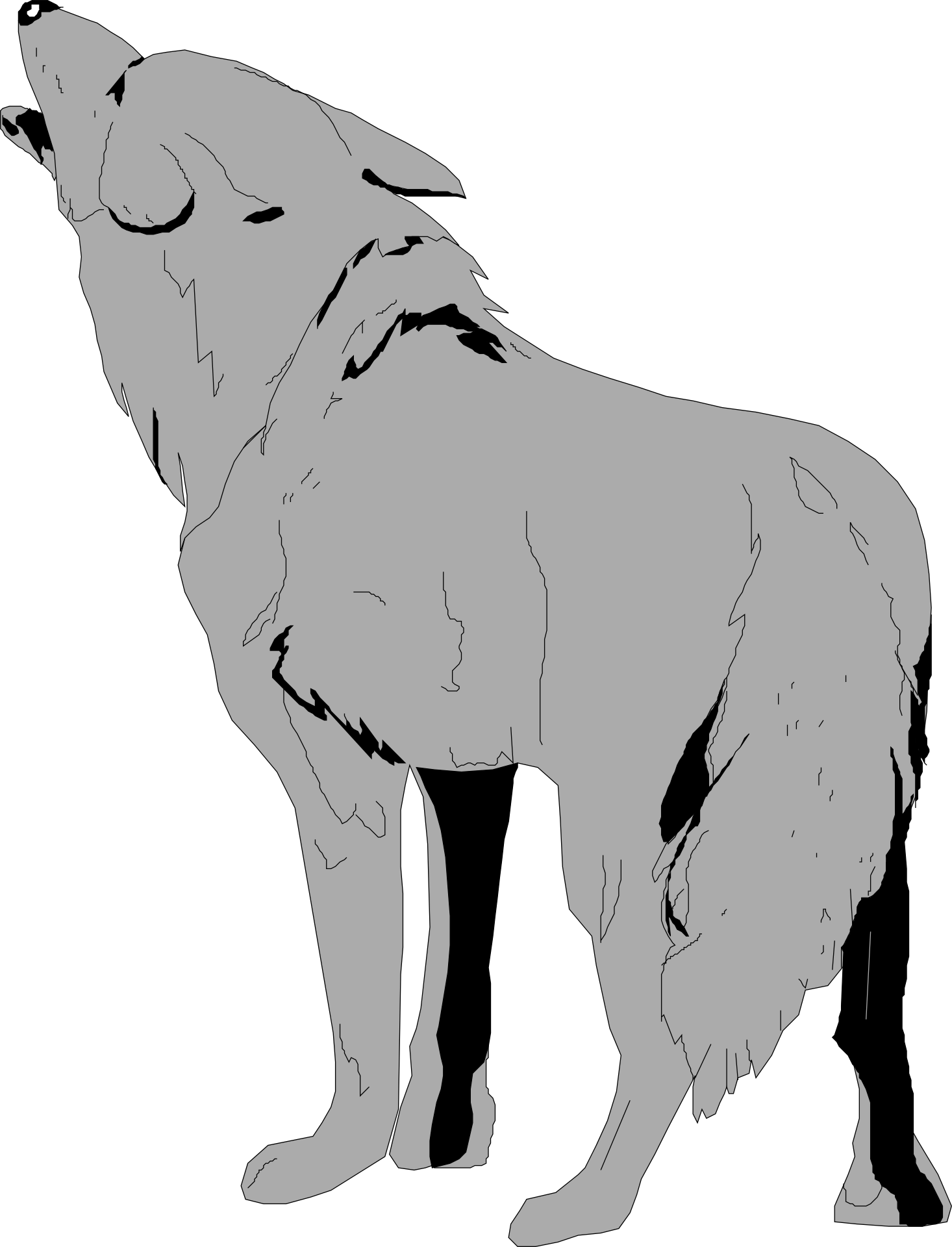 Wolf Clipart No Background - Png Download (1466x1920), Png Download