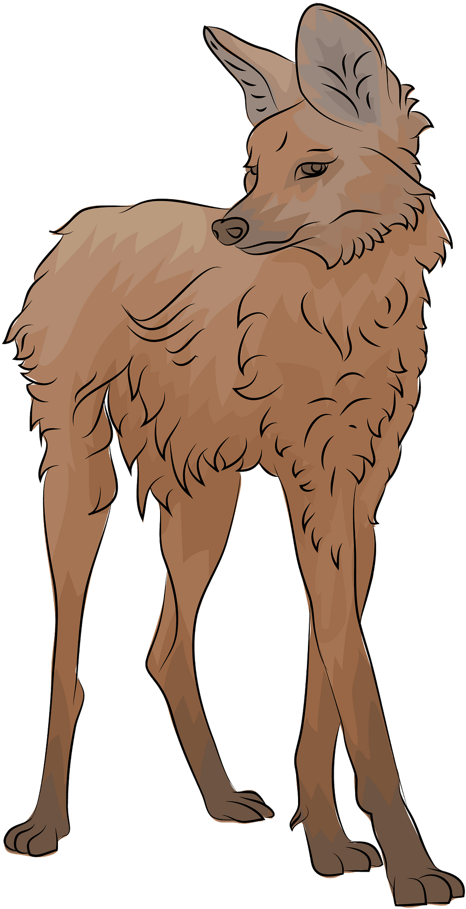 Animado Aguara Guazu Dibujo Clipart (1094x1920), Png Download