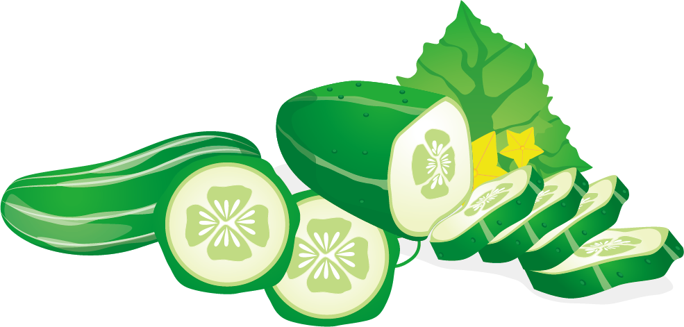 Cucumber Vegetable Euclidean Vector Fruit - Cucumber Clipart (985x471), Png Download