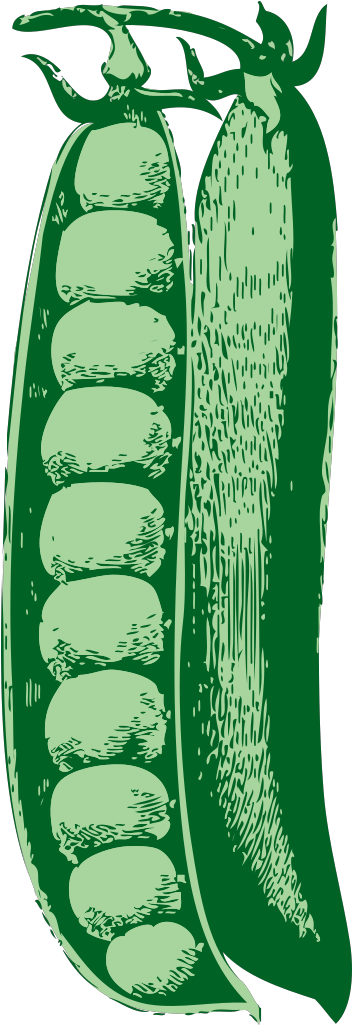 Peasant Hat Svg Clip Arts - Cartoon Peas - Png Download (1024x1024), Png Download