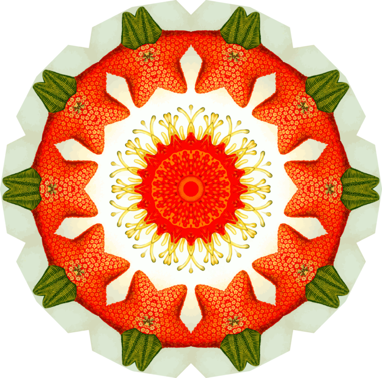 Sunflower Clipart (759x750), Png Download