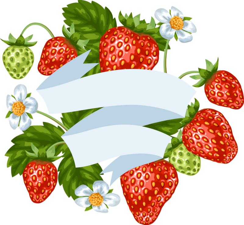 Tube Fruit, Fraise Png, Dessin - Strawberry Ribbon Png Clipart (800x740), Png Download