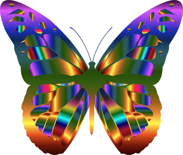 Real Rainbow Butterfly Clipart (768x649), Png Download