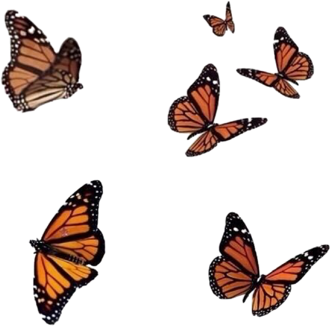 #aesthetic #aesthetictumblr #aestheticsticker #aestheticorange - Butterfly Png For Editing Clipart (651x643), Png Download