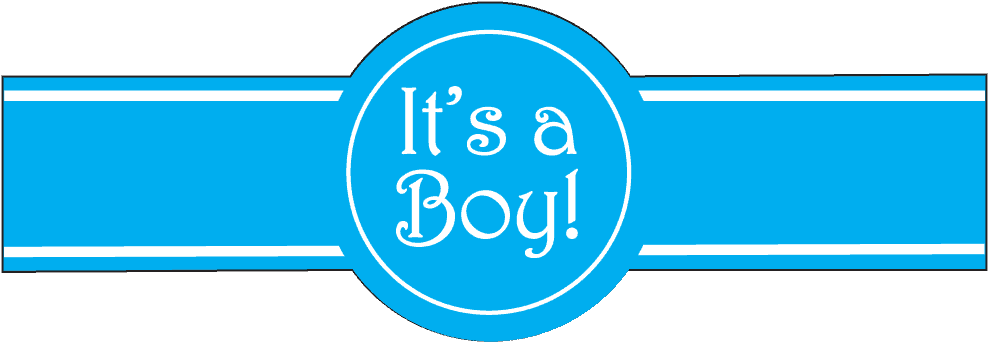 Its A Boy Transparent & Png Clipart Free Download - Flowers Boutique (1007x361), Png Download