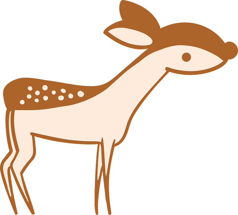Little Deer Clipart - Png Download (800x722), Png Download