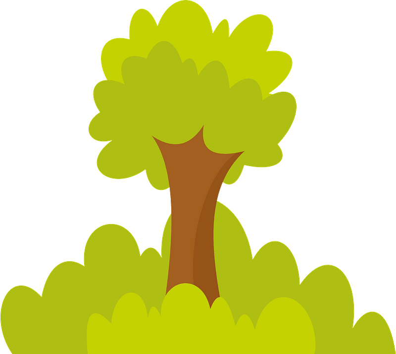 Tree And Bushes Clipart - Illustration - Png Download (800x714), Png Download