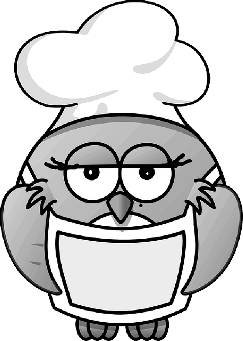 Owl, Animal, Bird, Cook Cooking, Mouthpiece, Nurse - Clip Art Owl Cooking - Png Download (800x1120), Png Download