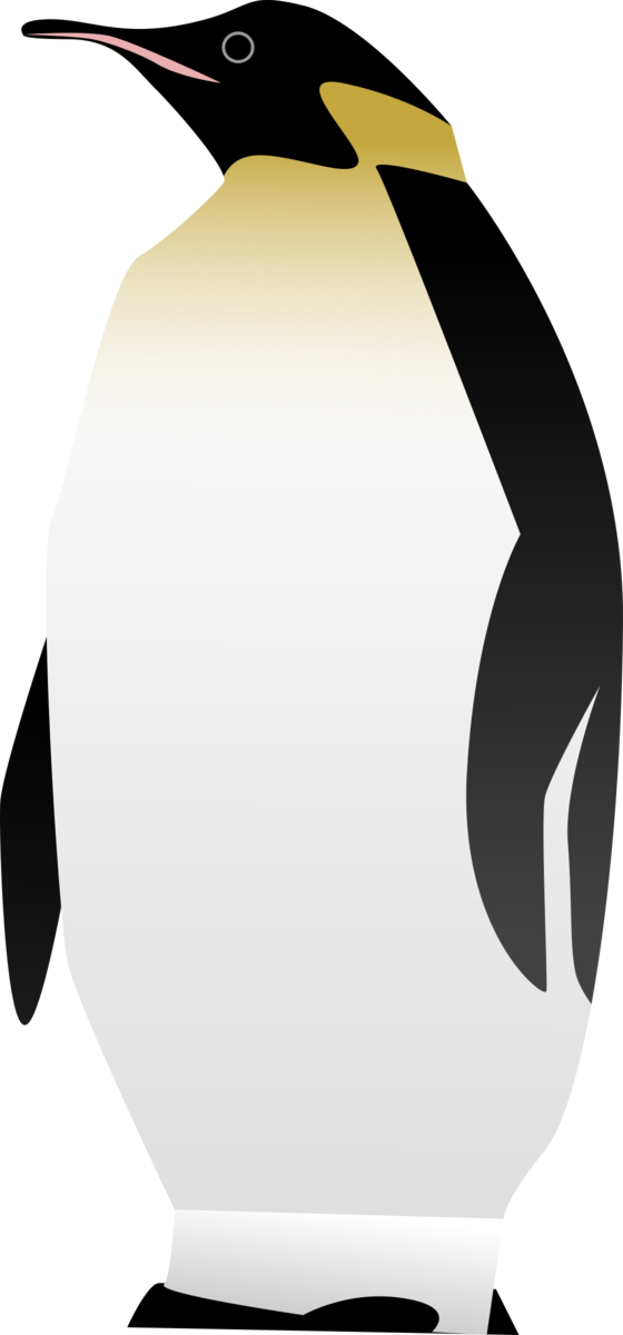 Transparent Bird Bird Penguin Flightless Bird Clipart - Crescent - Png Download (560x1200), Png Download
