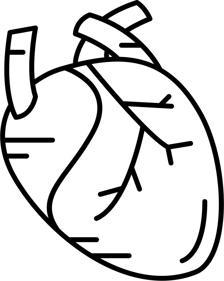 Human Heart - Human Heart Icon Png Free Clipart (780x981), Png Download