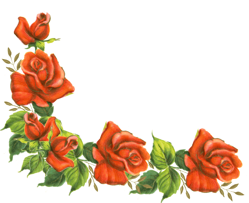 Vintage Frame Clip Art - Transparent Roses Border Clipart - Png Download (822x679), Png Download